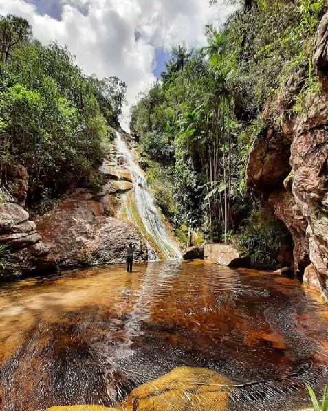 Pinhão